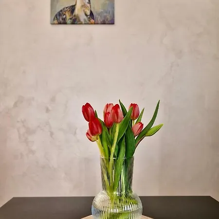 Tramonti Apartment Poggio Picenze