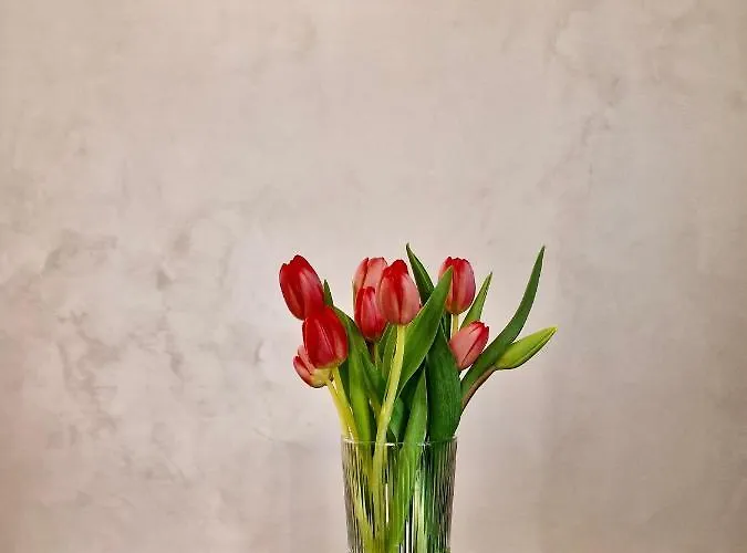 Tramonti アパート Poggio Picenze